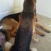 Jacquelyn Chambers - Facebook