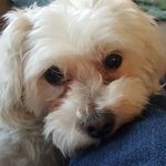 Jacqueline Abbott Chaney - @jacquelineabbottchaney - Instagram