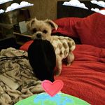 Jacqueline Christopher - @jacqueline.christopher.758 - Instagram