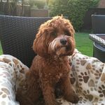 Jacqueline Cline - @jacqueline.cline.58 - Instagram