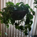 Jacqueline Colbert - @j1956dc - Instagram