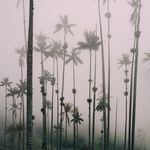 Jacqueline Collier - @heribertopad.berg - Instagram