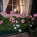 Jacquelyn Crawford - Facebook