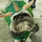 Jacquelyn Farley - @farleysfunnyfarm - Instagram