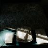 jacquelynnfarley - @jacquelynnfarley - TikTok
