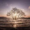 jacquelyngarner26 - @jacquelyngarner26 - TikTok