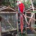 Jacquelyn Gilbert - Facebook