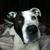Jacqueline Goff596 - @jacquelinegoff596 - TikTok