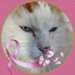 Jacqueline Le Goff - @jacqueline.legoff.921 - Instagram