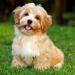 Jacqueline Le Goff - @jacqueline.legoff.79 - Instagram
