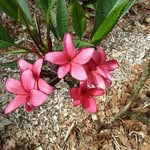 Jacqueline Gregory - @jacqueline.gregory.127 - Instagram