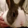 jacklyn huber - @jacklynhuber - TikTok