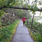 Jacquelyn Kane - @jacque11322 - Instagram
