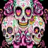 Jacquelyn Kidder - @jacquelyn.kidder - TikTok