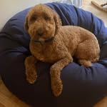 Jacquelyn Kirby - @jacquelynkirby5 - Instagram