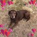 Jacquelyn Lake - Facebook