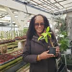 Jacqueline Levy - @plantdr101 - Instagram