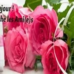 jacqueline levy - @jacquelin3951 - Instagram