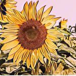 Jacquelyn Lovely - @lovelyscraftinglodge - Instagram
