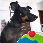 Jacqueline Mansfield - @jacqueline.mansfield.5 - Instagram