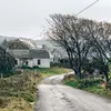 jacquelynmccann29 - @jacquelynmccann29 - TikTok