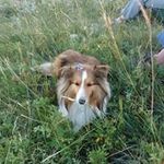 Jacqueline McKay - @jacqueline.mckay.92798 - Instagram