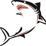 Jacqueline Meier - @tauchgruppe.miaru - Instagram