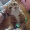 jacquelynmichelle2 - @jacquelynmichelle2 - TikTok