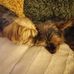 Jackie Norman - Facebook