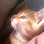 Jacquelyn Owens - @1d_love2002 - Instagram