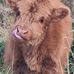 Jackie Pollard - Facebook