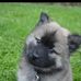 Jacquelin Rizo - Facebook