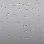 Jacqueline Romano - @dolphin_is_my_usename_ - Instagram