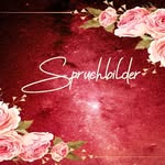 Jacqueline Roth - @jleefotografie_spruchbilder - Instagram