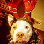 Jacquelyn  Rothwell - @jacquelynrothwell - Instagram