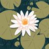 jacquelynroy581 - @jacquelynroy581 - TikTok