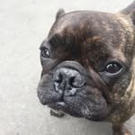 Jacqueline Savage - @jacquelinesavage1973 - Instagram