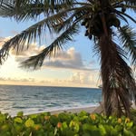 Jacqueline Sherman - @jackie__sherman2 - Instagram