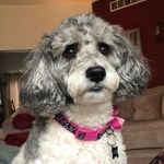 Jacquelyn Simpson - @simpsonjs90 - Instagram