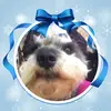 Jacqueline Sims - @jacqueline.sims1 - TikTok
