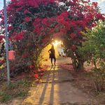 Jacqueline Stein - @jacqueline_stein - Instagram