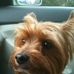 Jacquelyn Strickland - Facebook