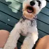Jaclyn Stuart - @jaclynstuart - TikTok
