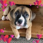 Jackie Teal - Facebook