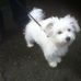 Jackie Tester - Facebook