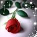 Jacquelyn Walters - Facebook