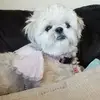 jacquelynward23 - @jacquelynward23 - TikTok