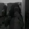 Jacqueline.Weiss - @jacquelineweisshunreuf - TikTok