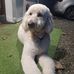 Jackie Wilkinson - Facebook