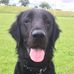 Jackie Wilkinson - Facebook